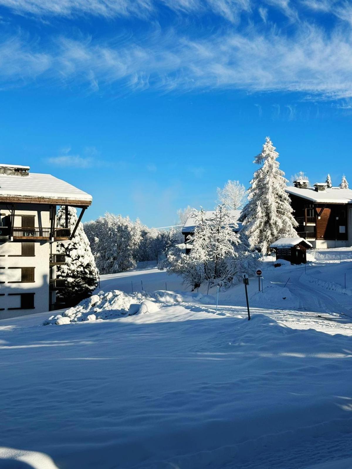 Le Flocon Du Mont Darbois Classe 3 Etoiles 梅杰夫 外观 照片